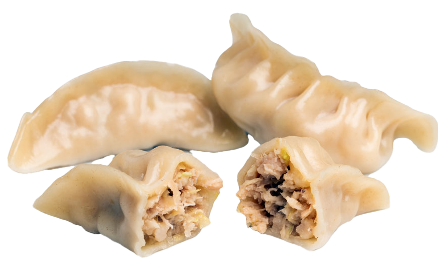 GYOZA CERDO Y COL CHINA