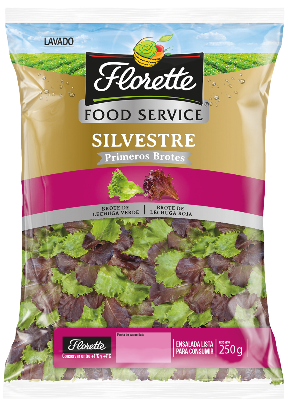 SILVESTRE 250G