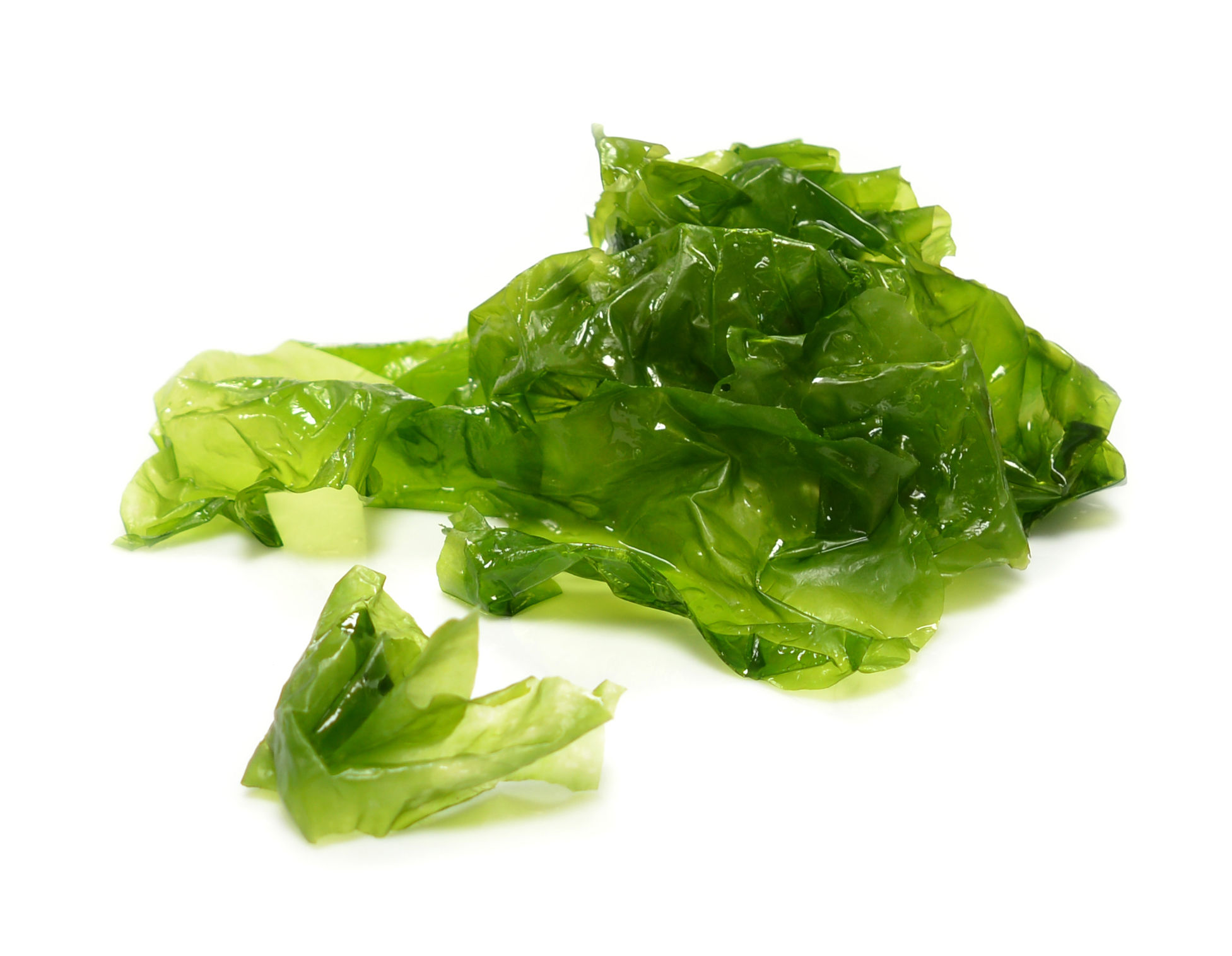 ALGA LECHUGA DE MAR 200G