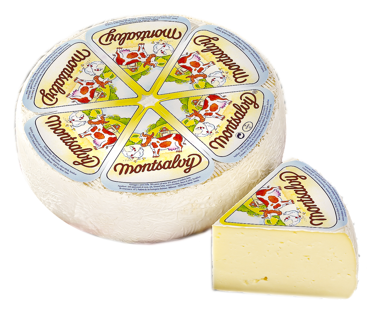 CAMEMBERT MONTSALVY